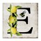 Stupell Industries Lemon & Bee E Letter Canvas Wall Art Design by Creatif Belle